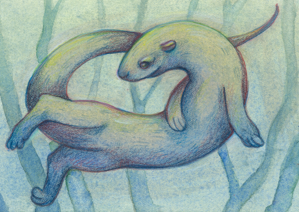 Otter illustration Postcard